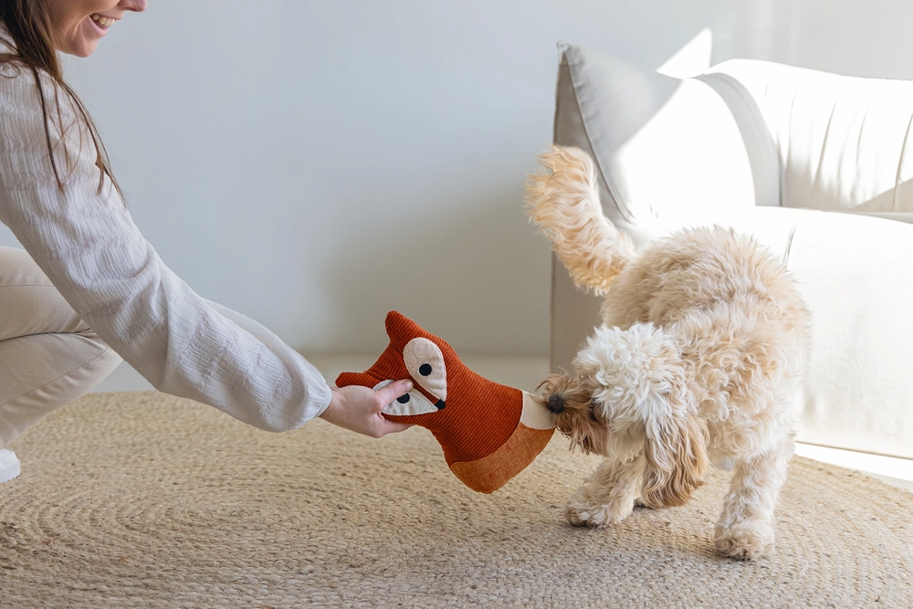 Beeztees DBL Köpek Oyuncağı, Sesli, Tilki, Peluş, Turuncu, 25,5cm - 3