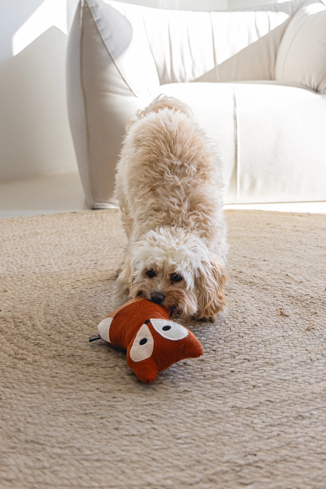 Beeztees DBL Köpek Oyuncağı, Sesli, Tilki, Peluş, Turuncu, 25,5cm - 4