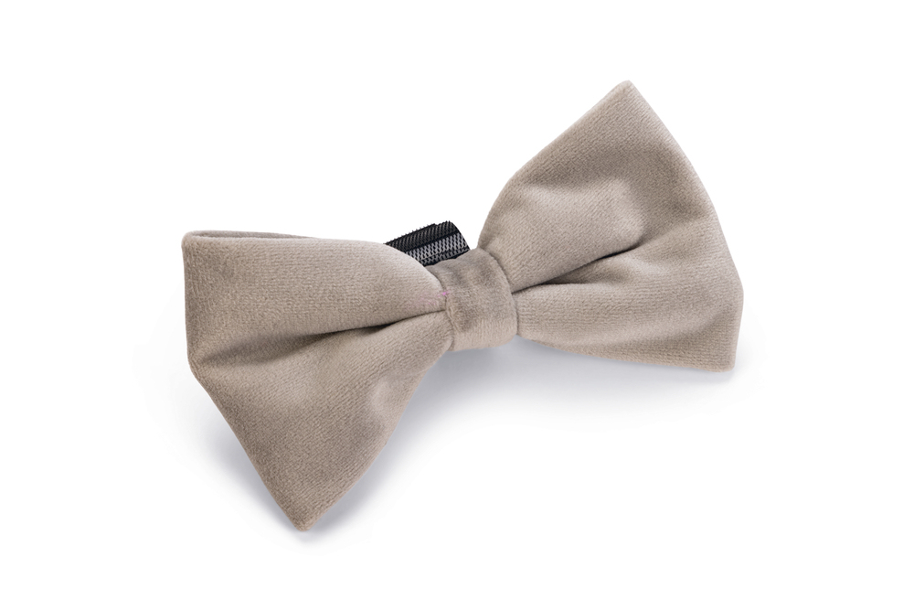 Beeztees DBL Köpek Papyonu, Kadife, Gri, 12cm - 1