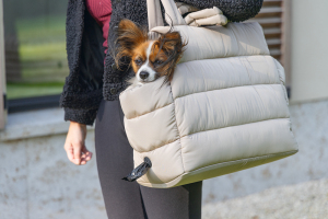 Beeztees DBL Köpek Taşıma Çantası, Yıkanabilir, 6,5Kg'ye kadar, Bej, 42x20x35cm - 2