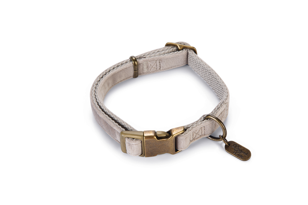 Beeztees DBL Köpek Tasması, Kadife, Gri, 26-40cm, 15mm - 1