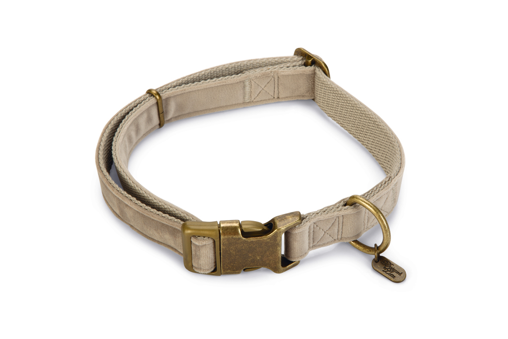 Beeztees DBL Köpek Tasması, Kadife, Gri, 48-70cm, 25mm - 1