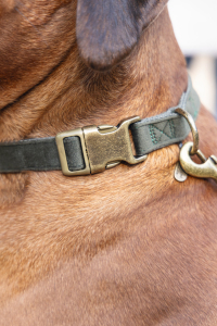 Beeztees DBL Köpek Tasması, Kadife, Nefti, 48-70cm, 25mm - 4