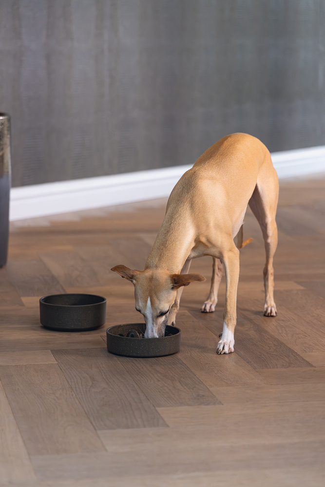 Beeztees DBL Köpek Yavaş Besleme Mama Kabı, Bambu, Antrasit, 17cm, 800ml - 4