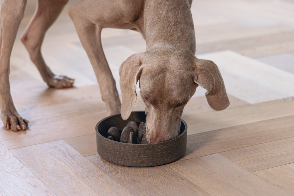 Beeztees DBL Köpek Yavaş Besleme Mama Kabı, Bambu, Antrasit, 21cm, 1430ml - 5