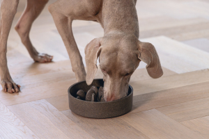 Beeztees DBL Köpek Yavaş Besleme Mama Kabı, Bambu, Antrasit, 21cm, 1430ml - 5