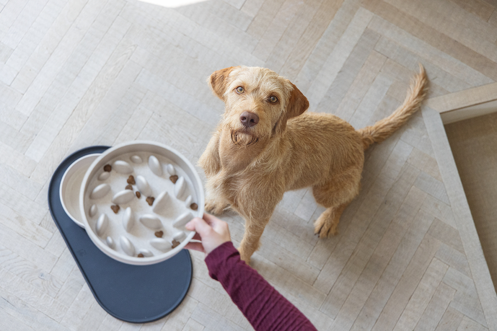 Beeztees DBL Köpek Yavaş Besleme Mama Kabı, Bambu, Bej, 21cm, 1430ml - 2