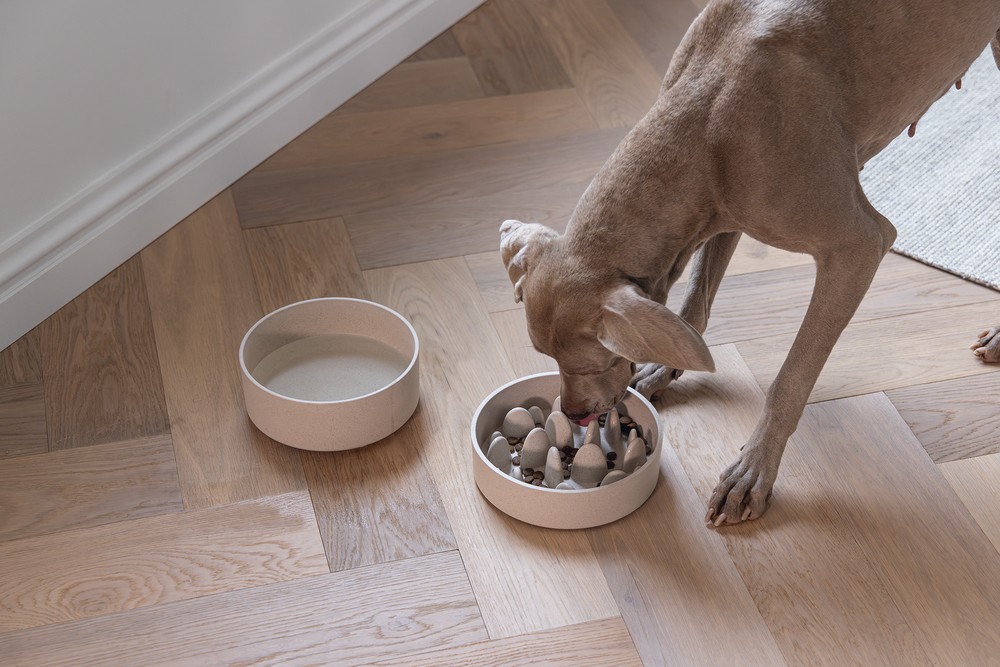 Beeztees DBL Köpek Yavaş Besleme Mama Kabı, Bambu, Bej, 21cm, 1430ml - 4