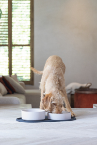 Beeztees DBL Mama Su Kabı Servisi, Silikon, Kaymaz, Antrasit, 55x30x1,7cm - 2