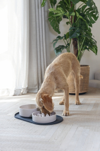 Beeztees DBL Mama Su Kabı Servisi, Silikon, Kaymaz, Antrasit, 55x30x1,7cm - 3