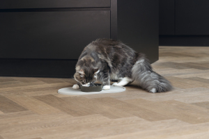 Beeztees DBL Mama Su Kabı Servisi, Silikon, Kaymaz, Bej, 45x25x1,5cm - 2