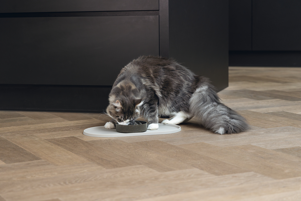 Beeztees DBL Mama Su Kabı Servisi, Silikon, Kaymaz, Bej, 45x25x1,5cm - 2