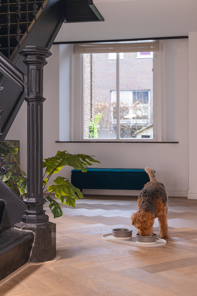 Beeztees DBL Mama Su Kabı Servisi, Silikon, Kaymaz, Bej, 55x30x1,7cm - 5