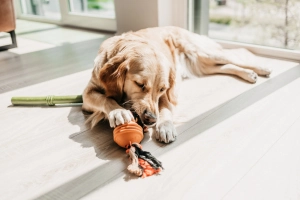 Beeztees İpli Turuncu Top 31,8x7,9x7,9 - 2