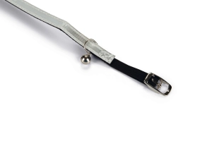 Beeztees Kedi Boyun Tasması, Fosforlu Beyaz, 20-29cm - 3