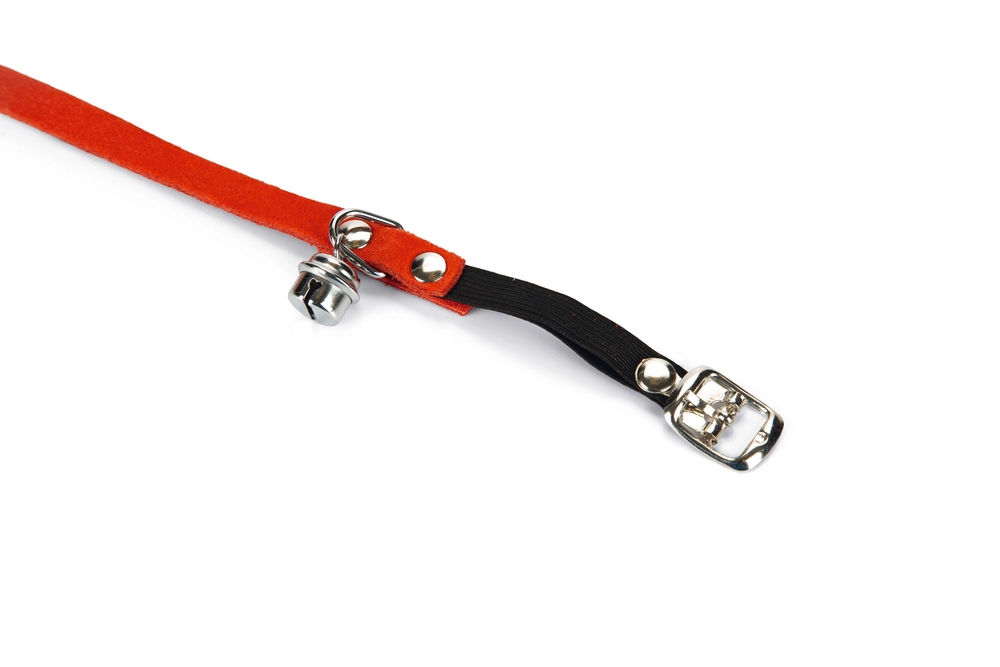 Beeztees Kedi Boyun Tasması, Süet, Kırmızı, 24-29cm - 5