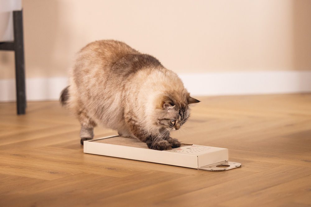 Beeztees Kedi Karton Tırmalama, Bej, 45cm - 2