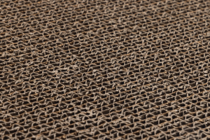 Beeztees Kedi Karton Tırmalama Kutusu ve Kediotu, 47x24x4,5cm - 4