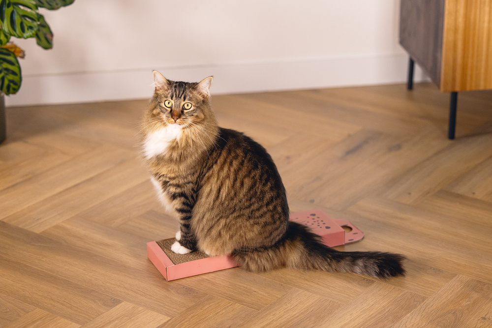 Beeztees Kedi Karton Tırmalama, Pembe, 45cm - 2