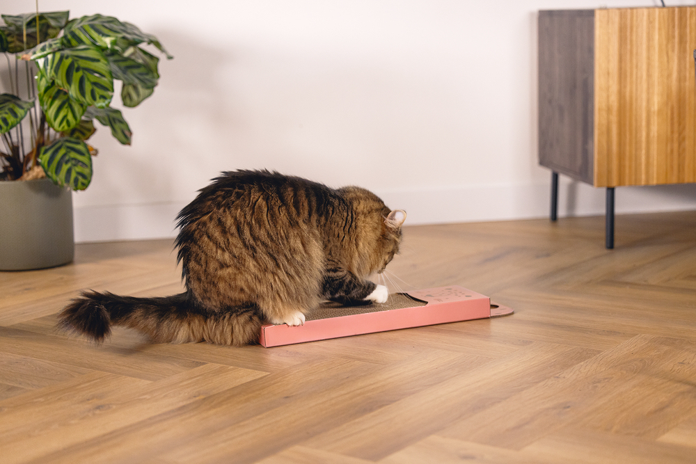 Beeztees Kedi Karton Tırmalama, Pembe, 45cm - 3