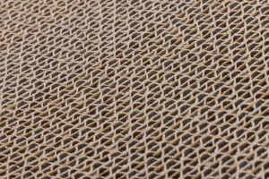 Beeztees Kedi Karton Tırmalama ve Kediotu, 52x21x10cm - 3