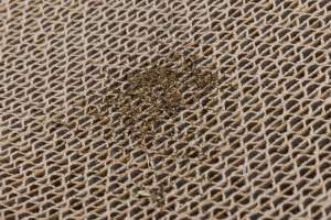 Beeztees Kedi Karton Tırmalama ve Kediotu, 52x21x10cm - 5