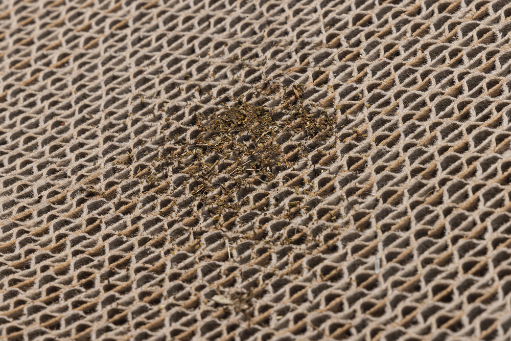 Beeztees Kedi Karton Tırmalama ve Kediotu, 52x21x10cm - 5