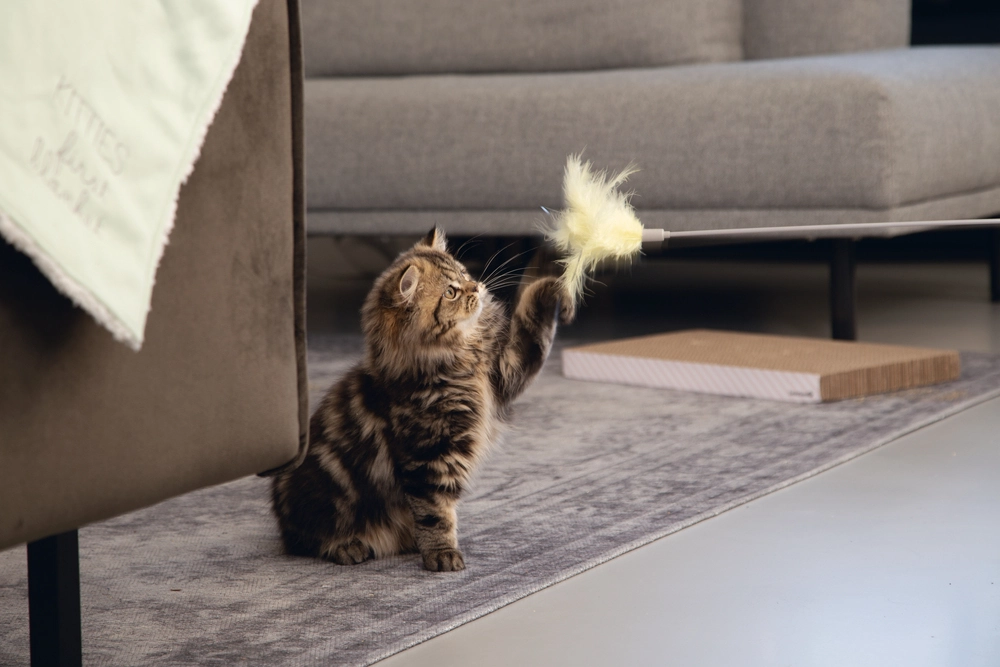 Beeztees Kedi Oltası, Tüylü, 45cm - 2