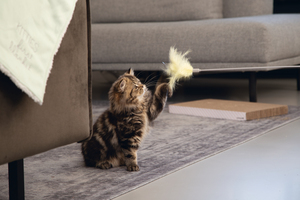 Beeztees Kedi Oltası, Tüylü, 45cm - 2