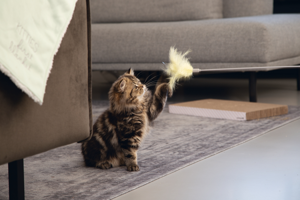 Beeztees Kedi Oltası, Tüylü, 45cm - 2