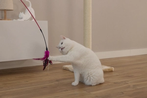 Beeztees Kedi Oltası, Tüylü, Çeşitli Renklerde, - 3