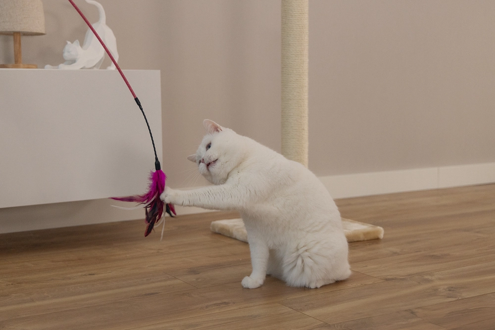 Beeztees Kedi Oltası, Tüylü, Çeşitli Renklerde, - 3