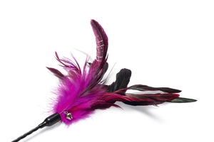 Beeztees Kedi Oltası, Tüylü, Çeşitli Renklerde, - 4