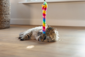 Beeztees Kedi Oltası, Zilli, Peluş Oyuncaklı, - 2