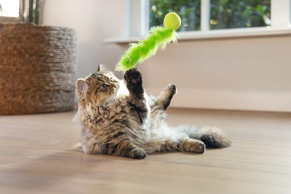 Beeztees Kedi Oltası, Zilli, Peluş Top ve Kuyruk, - 3