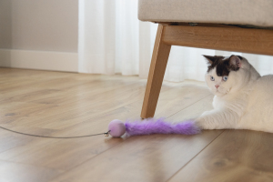 Beeztees Kedi Oltası, Zilli, Peluş Top ve Kuyruk, - 2