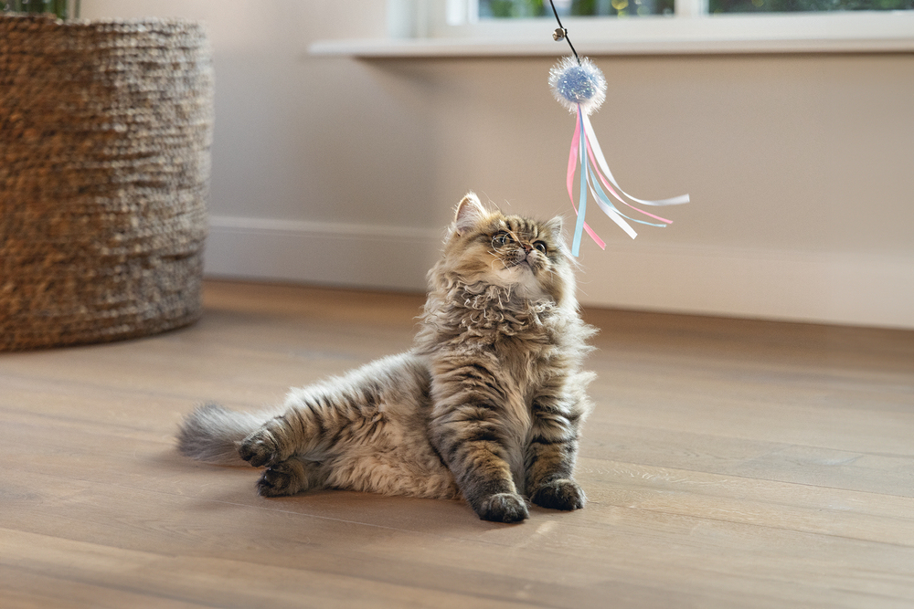 Beeztees Kedi Oltası, Zilli, Tüylü Top ve Kurdelalar, - 2