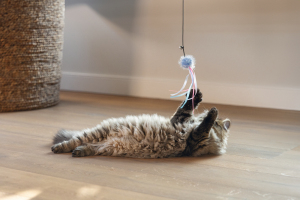 Beeztees Kedi Oltası, Zilli, Tüylü Top ve Kurdelalar, - 3