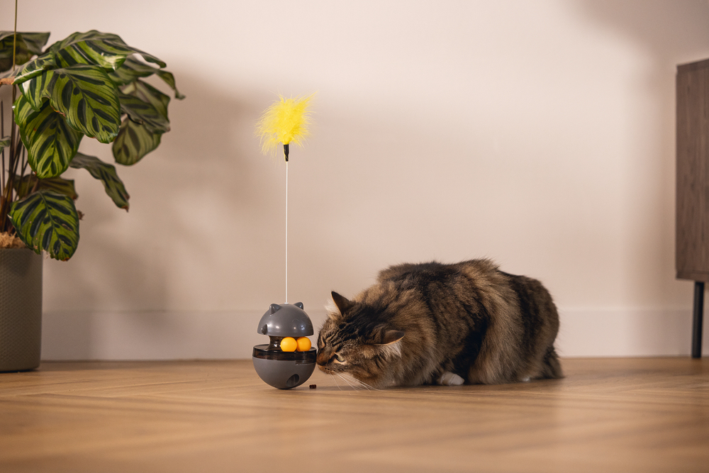 Beeztees Kedi Oyuncağı, Hacıyatmaz, İçinde Top, Ucunda Tüy, 10x10x42cm - 5