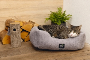 Beeztees Kedi Oyuncağı, Karton Silindir ve Püskül, 23x10x10cm - 2