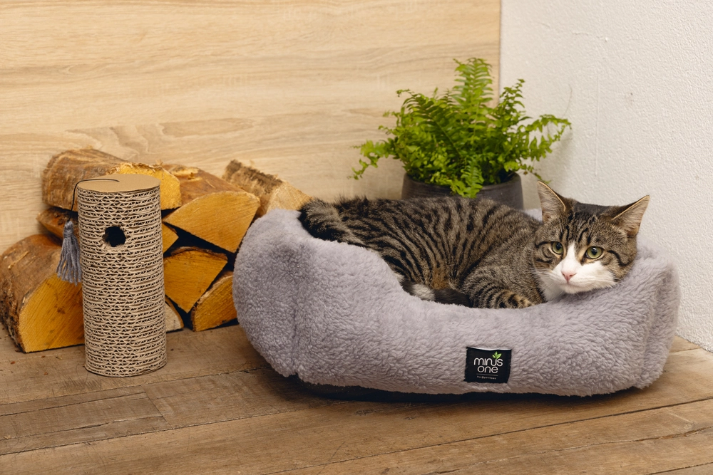 Beeztees Kedi Oyuncağı, Karton Silindir ve Püskül, 23x10x10cm - 2