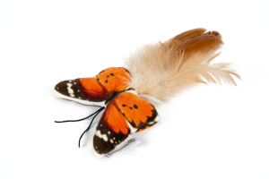 Beeztees Kedi Oyuncağı, Kelebek, Tüylü, 8x16x2cm