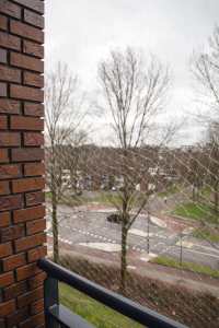 Beeztees Kedi Pencere veya Balkon Koruma Filesi, Şeffaf, 8x3m