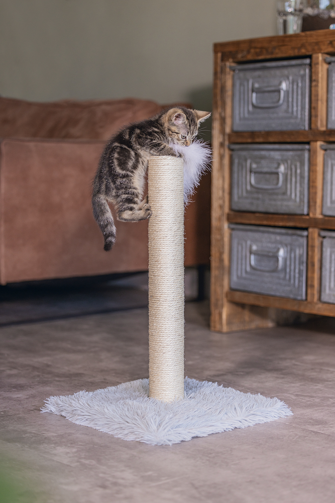 Beeztees Kedi Tırmalama ve Oyuncağı, Gri, 35x35x53cm - 2