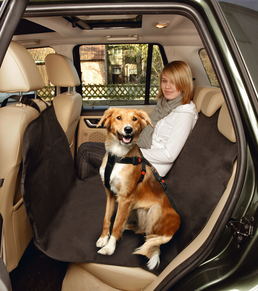 Beeztees Köpek Arka Koltuk Örtüsü, Su Geçirmez, Siyah, 160x129cm - 1