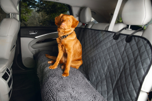 Beeztees Köpek Arka Koltuk Yatağı ve Örtüsü, Yıkanabilir, Gri, 136x148cm