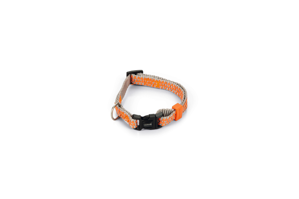 Beeztees Köpek Boyun Tasması, Açık Gri Turuncu, 20-30cm - 3