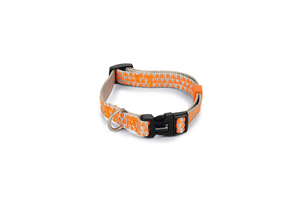Beeztees Köpek Boyun Tasması, Açık Gri Turuncu, 26-40cm - 3