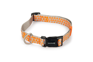 Beeztees Köpek Boyun Tasması, Açık Gri Turuncu, 48-70cm - 3