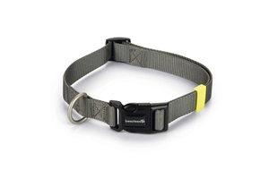 Beeztees Köpek Boyun Tasması, Antrasit, 48-70cm - 1